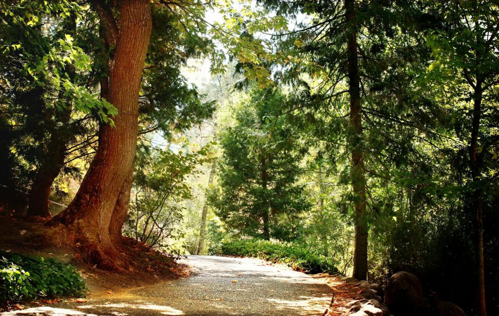 Mat Kearney Drops New&nbsp;Single