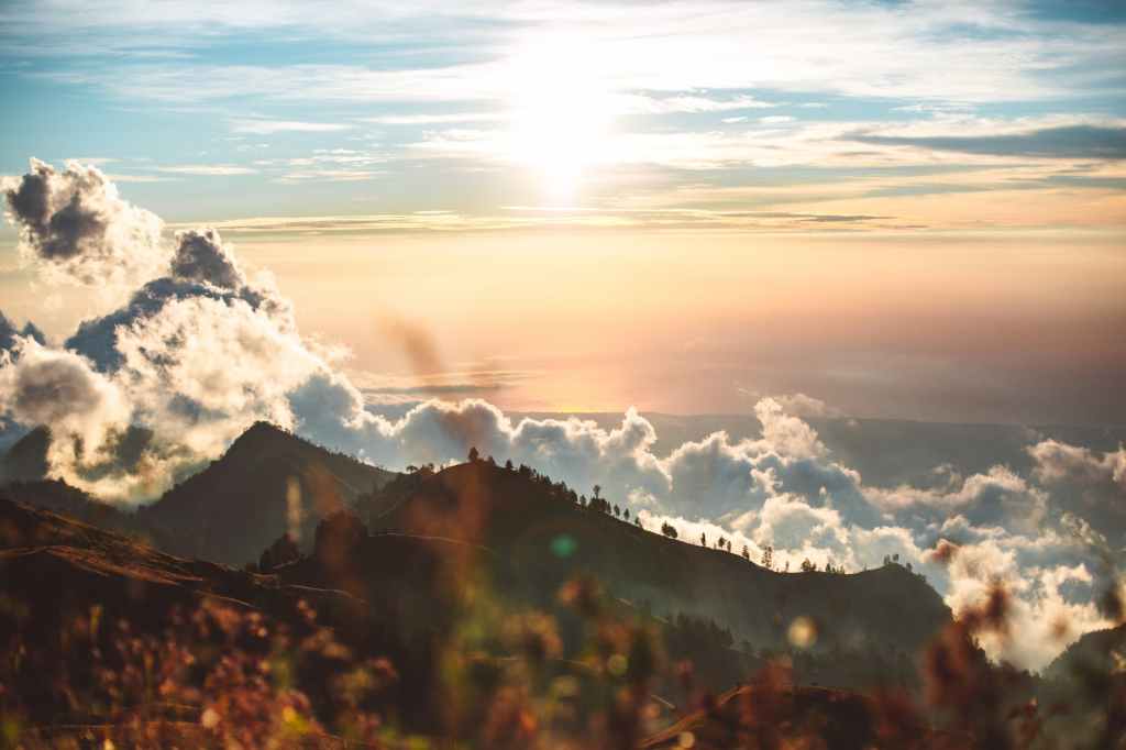 Old Crow Medicine Show Ready to Embark on Spring-Summer&nbsp;Tour