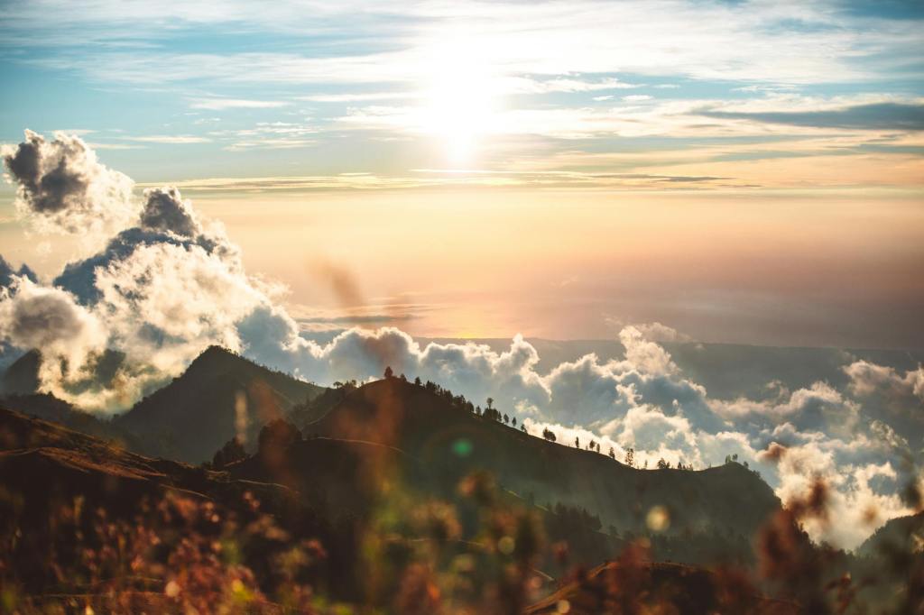 The Wildmans Ready Summer&nbsp;Tour