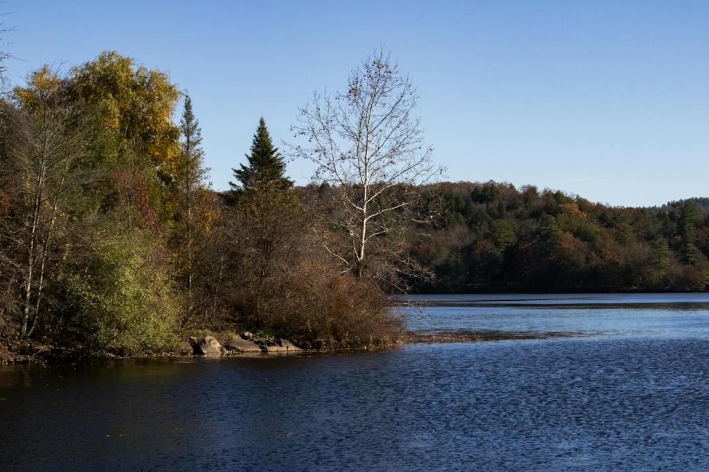 Guster Extends We Also Have Eras&nbsp;Tour