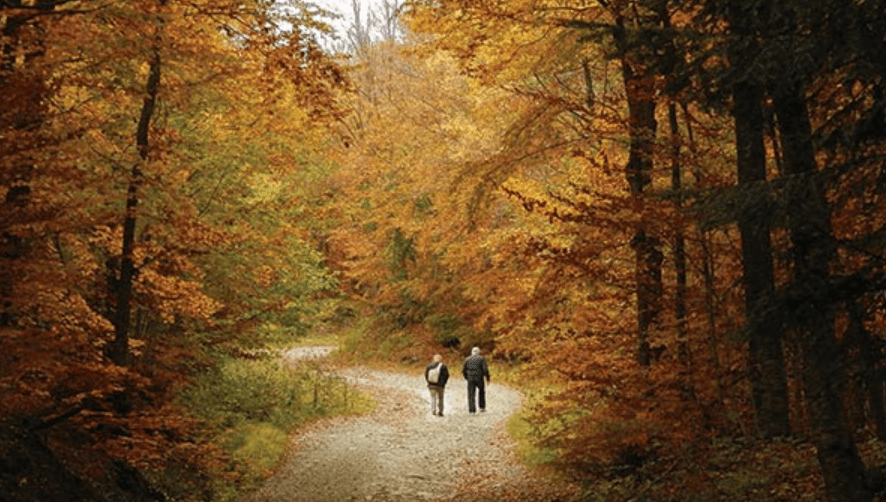 Concert For Carolina Adds More Artists, Adds&nbsp;Livestream