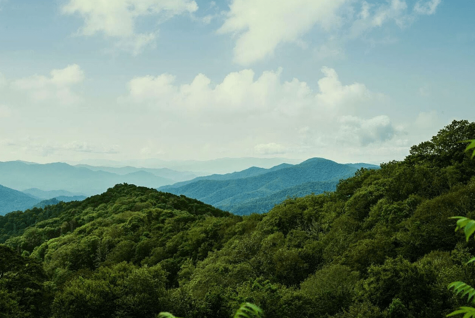 Eric Church + Luke Combs Headline Concert for Carolina&nbsp;Fundraiser