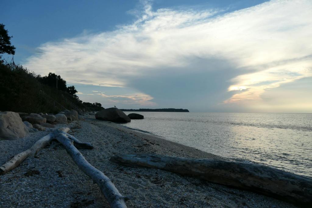 Newsday Hosts “Long Island Idol” Next Thursday at Newsday&nbsp;HQ