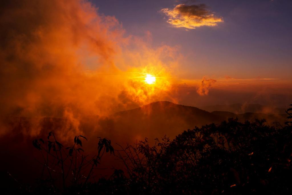 NewSong Music Announces 2024 Finalists